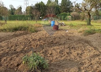 Giardino - Agricultural land via Boscaccio, Settimo Milanese - photo 10