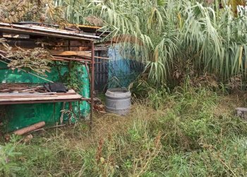 Giardino - Agricultural land via Boscaccio, Settimo Milanese - photo 12