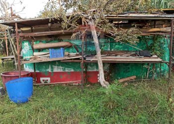 Giardino - Agricultural land via Boscaccio, Settimo Milanese - photo 13
