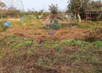 Giardino - Agricultural land via Boscaccio, Settimo Milanese - photo 14
