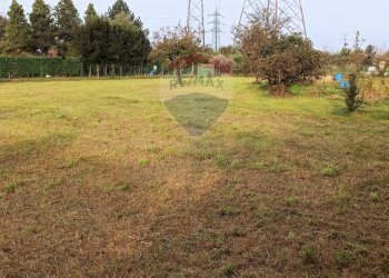Giardino - Agricultural land via Boscaccio, Settimo Milanese - photo 16