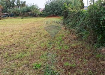 Giardino - Agricultural land via Boscaccio, Settimo Milanese - photo 17