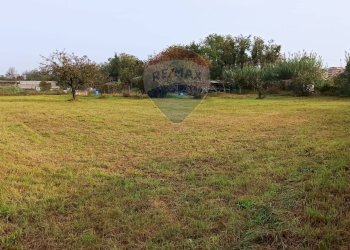 Giardino - Agricultural land via Boscaccio, Settimo Milanese - photo 19