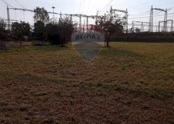 Giardino - Agricultural land via Boscaccio, Settimo Milanese - photo 21