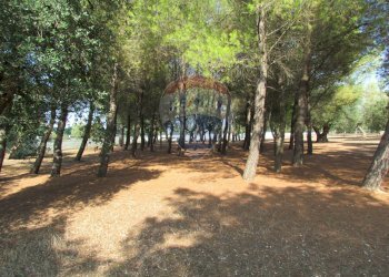 Giardino - Villa Via degli Ulivi
 
123, Grottaglie - foto 22