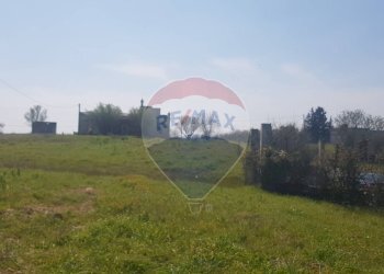 Giardino - Casa indipendente Francavilla Fontana - foto 9