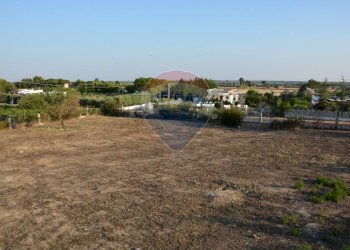 Giardino - Casa indipendente Francavilla Fontana - foto 20