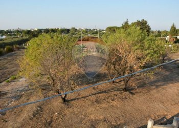 Non correlato - Casa indipendente Francavilla Fontana - foto 22