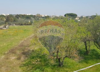 Giardino - Casa indipendente Francavilla Fontana - foto 25