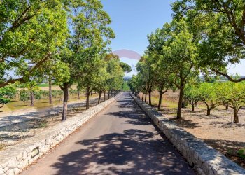 Edificio all\'aperto - Rustico Villa Gaia Via Guidano
 
snc, Galatina - foto 40