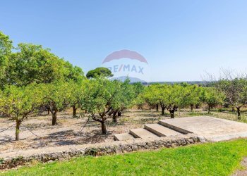 Giardino - Rustico Villa Gaia Via Guidano
 
snc, Galatina - foto 42