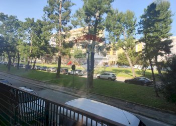 Balcone - Locale Commerciale Via Papa Giovanni Paolo I
 
10, Bari - foto 11