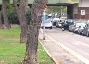 Giardino - Locale Commerciale Via Papa Giovanni Paolo I
 
10, Bari - foto 12