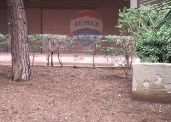 Giardino - Locale Commerciale Via Papa Giovanni Paolo I
 
10, Bari - foto 14