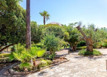 Giardino - Villa Villa Gaia Via Guidano, Galatina - foto 11