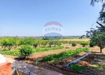 Giardino - Villa Villa Gaia Via Guidano, Galatina - foto 14