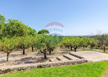 Giardino - Villa Villa Gaia Via Guidano, Galatina - foto 50