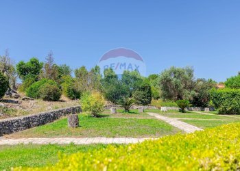 Giardino - Villa Villa Gaia Via Guidano, Galatina - foto 55