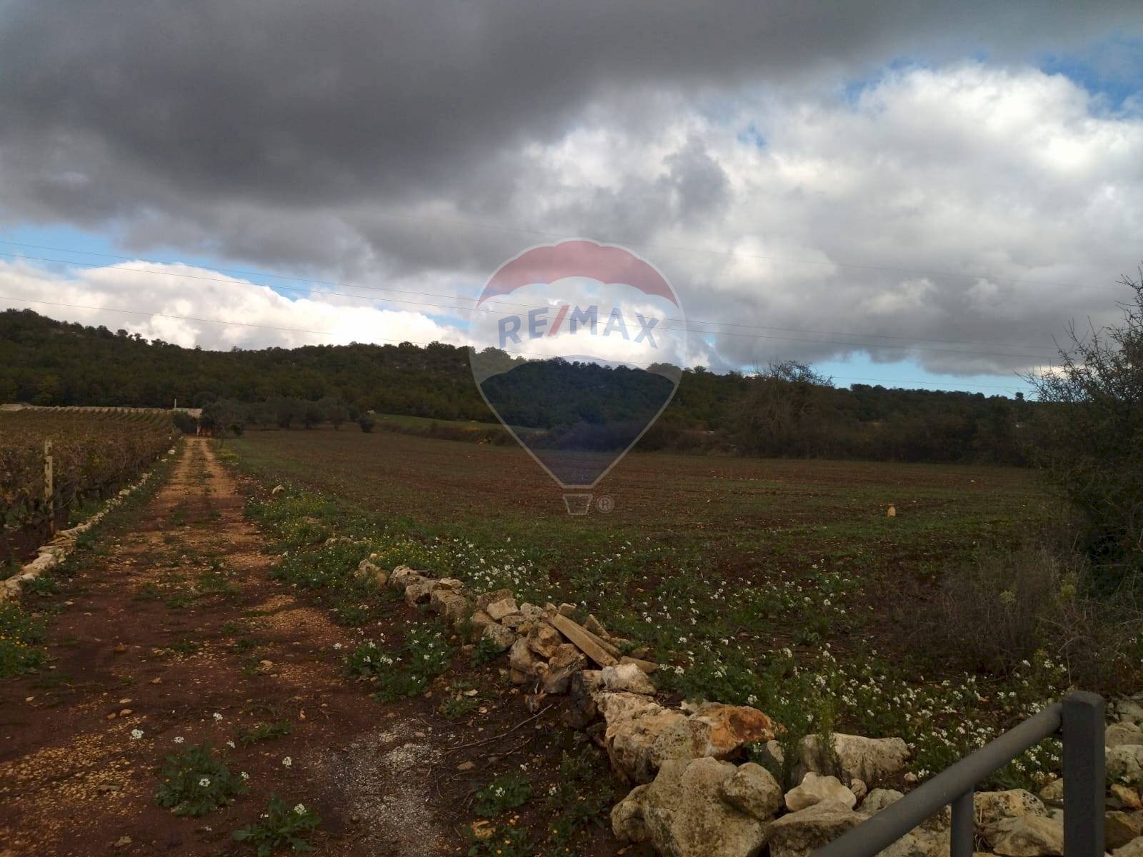 Vista delle montagne - Terreno agricolo Contrada  Paretano
 
snc, Monopoli - foto 2