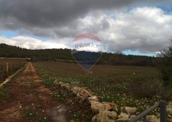 Vista delle montagne - Terreno agricolo Contrada  Paretano
 
snc, Monopoli - foto 2