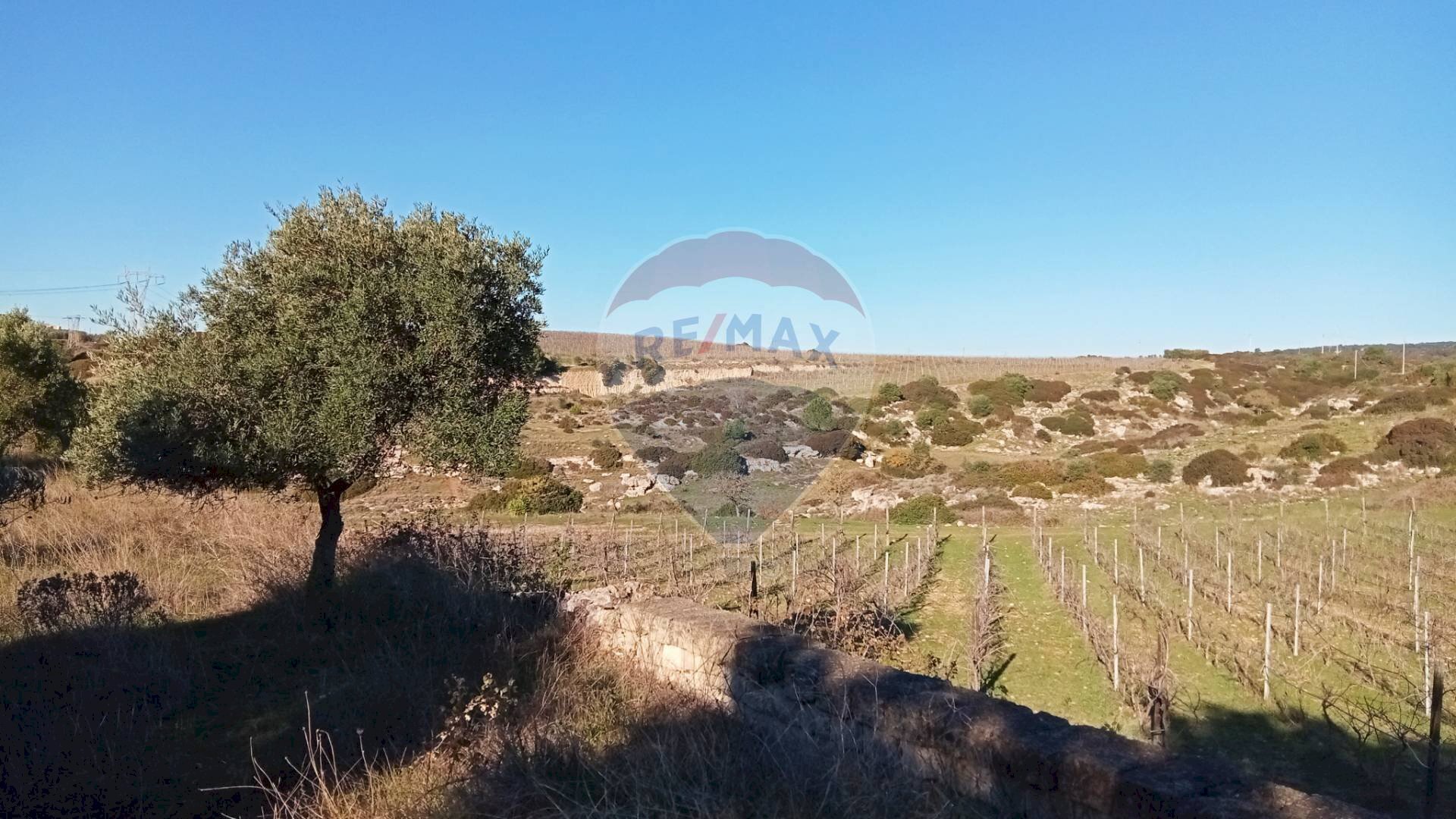 Vista delle montagne - Terreno agricolo Contrada San Vito, Mottola - foto 3