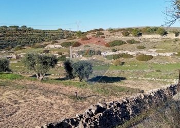Vista delle montagne - Terreno agricolo Contrada San Vito, Mottola - foto 1