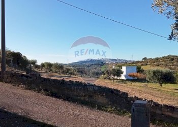 Vista delle montagne - Terreno agricolo Contrada San Vito, Mottola - foto 2
