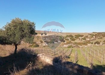Vista delle montagne - Terreno agricolo Contrada San Vito, Mottola - foto 3