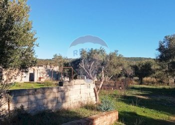 Giardino - Terreno agricolo Contrada San Vito, Mottola - foto 6