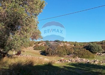 Vista delle montagne - Terreno agricolo Contrada San Vito, Mottola - foto 9