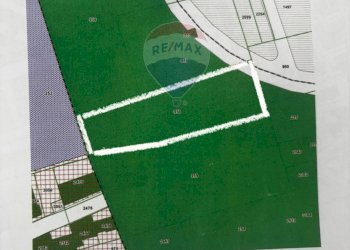 Pianta 2D - Terreno agricolo Via Guglielmo Oberdan, Triggiano - foto 2