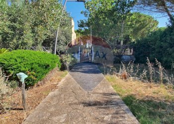 Giardino - Villa Via Aldo Rossi
 
2, Casamassima - foto 7