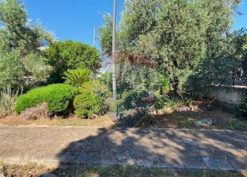 Giardino - Villa Via Aldo Rossi
 
2, Casamassima - foto 9