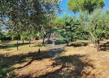 Giardino - Villa Via Aldo Rossi
 
2, Casamassima - foto 15