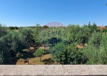 Giardino - Villa Via Aldo Rossi
 
2, Casamassima - foto 37