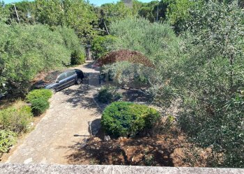 Giardino - Villa Via Aldo Rossi
 
2, Casamassima - foto 44