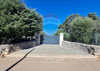 Non correlato - Villa Carraro dei Masci
 
1425, Gioia del Colle - foto 1