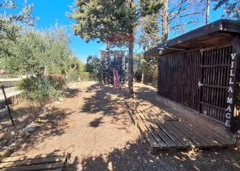 Giardino - Villa Carraro dei Masci
 
1425, Gioia del Colle - foto 7