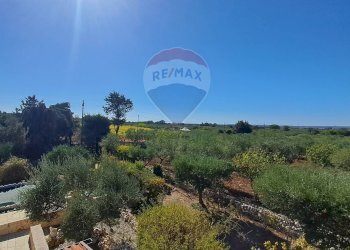 Vista delle montagne - Villa Carraro dei Masci
 
1425, Gioia del Colle - foto 15