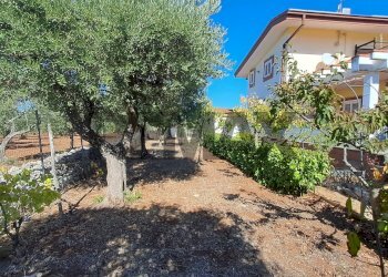 Giardino - Villa Carraro dei Masci
 
1425, Gioia del Colle - foto 20