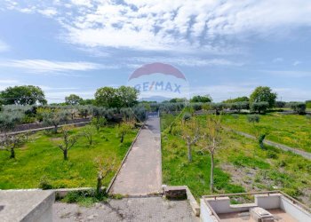 Giardino - Villa Contrada Serio, Locorotondo - foto 5