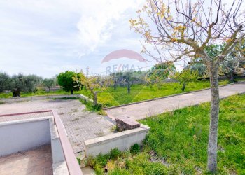 Giardino - Villa Contrada Serio, Locorotondo - foto 41