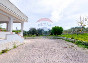 Non correlato - Villa Contrada Serio, Locorotondo - foto 43