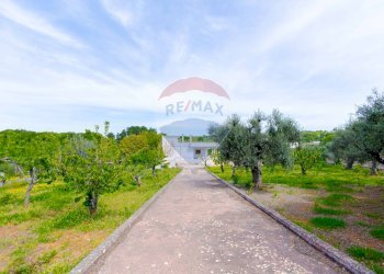 Giardino - Villa Contrada Serio, Locorotondo - foto 45