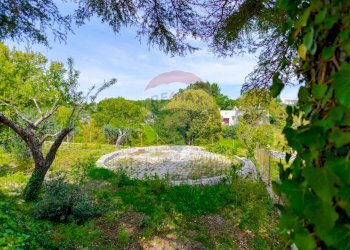 Giardino - Villa Contrada Serio, Locorotondo - foto 49