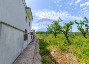 Giardino - Villa Contrada Serio, Locorotondo - foto 51