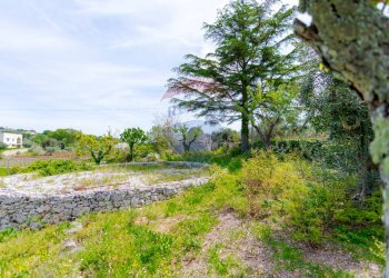 Giardino - Villa Contrada Serio, Locorotondo - foto 53
