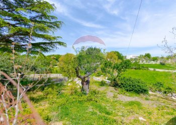 Giardino - Villa Contrada Serio, Locorotondo - foto 54