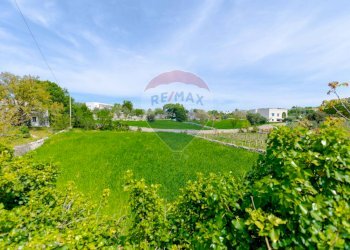 Giardino - Villa Contrada Serio, Locorotondo - foto 56