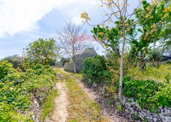 Giardino - Villa Contrada Serio, Locorotondo - foto 58